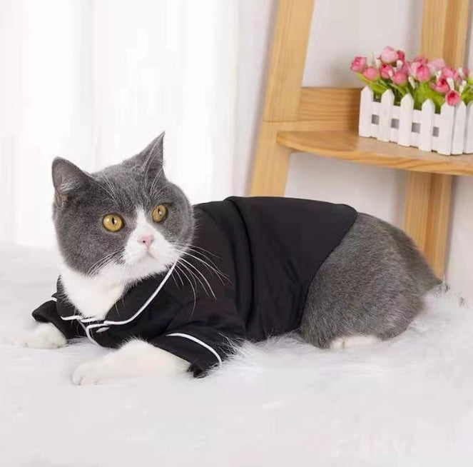 Autumn Cat Suit