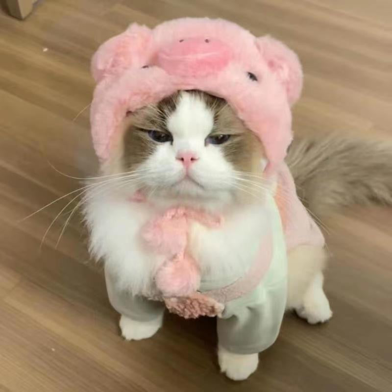 Cat Headwear Dress-up Hat