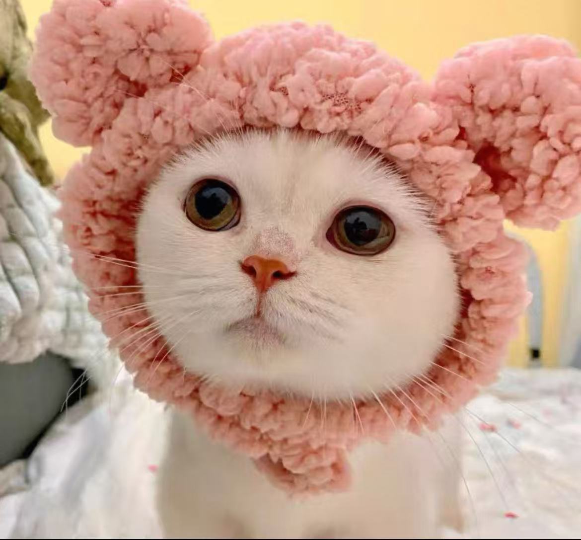 Pet Plush Headgear
