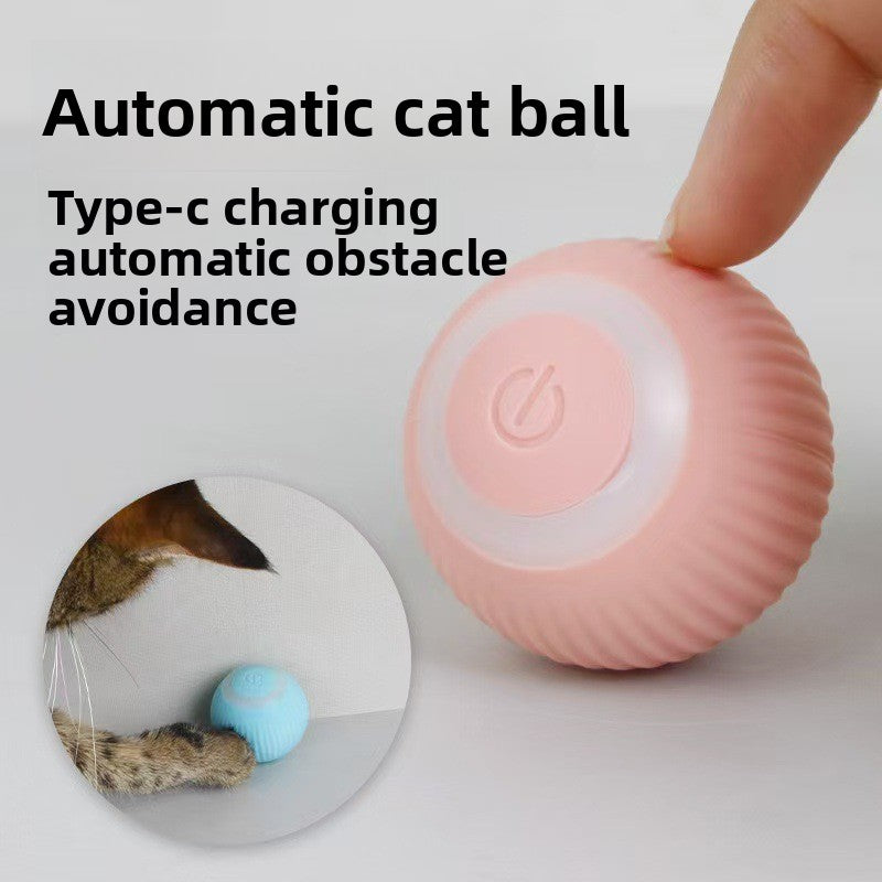 Cat Roller Ball Toy
