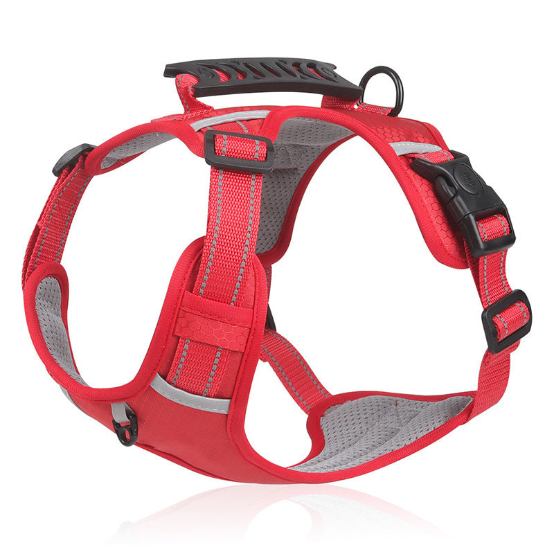 Dog Leash Vest