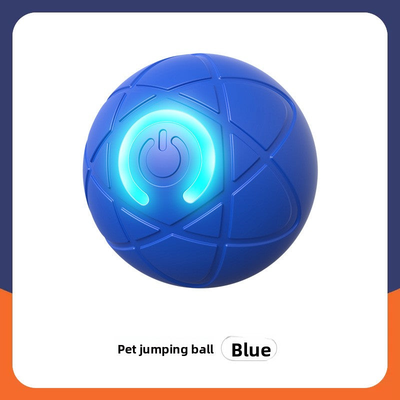 Pet Traction Ball