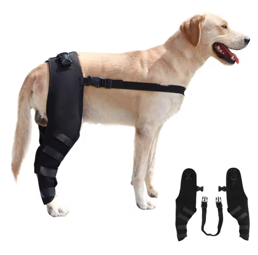 Pet Leg Protection Belt, Auxiliary Fixing Belt
