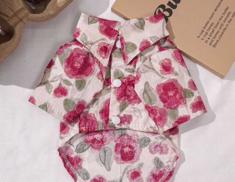 Kitty Princess Dress Clothes