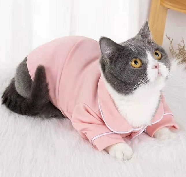 Autumn Cat Suit