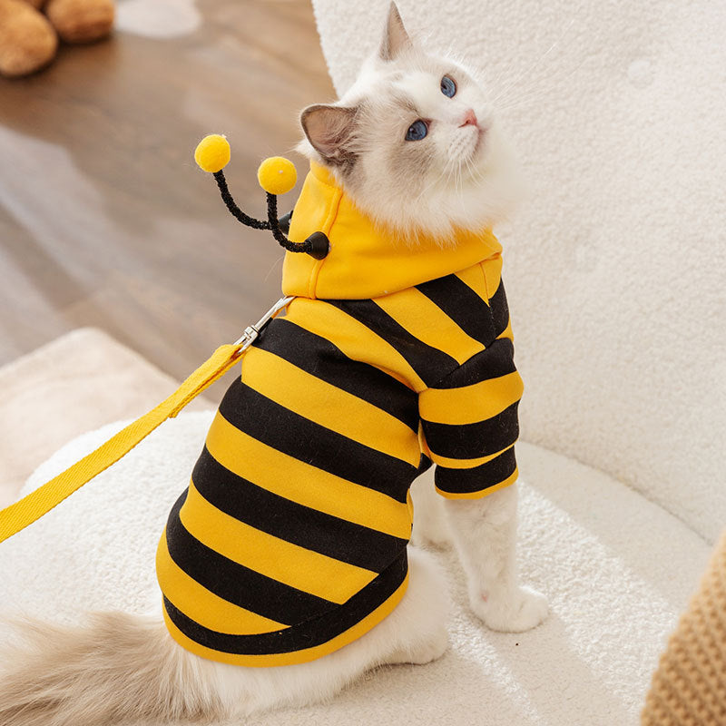 Cat Clothes