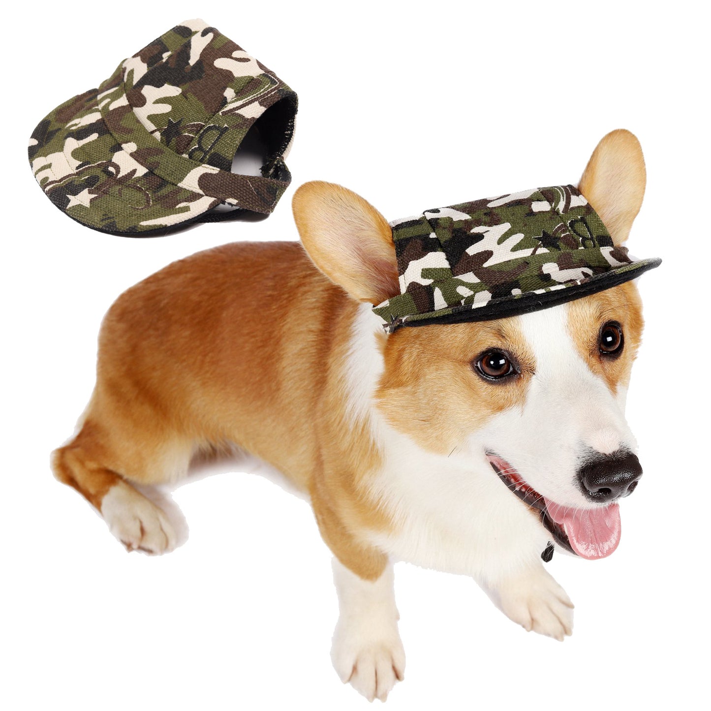 Pet Beret