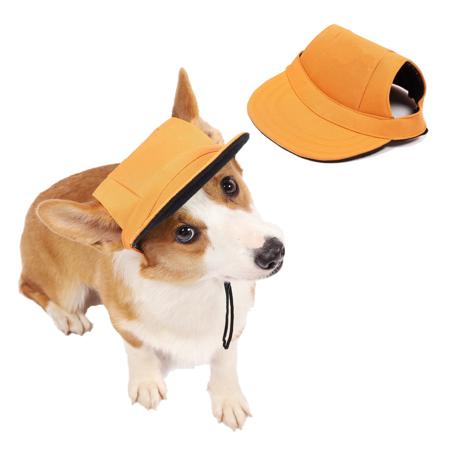 Pet Beret