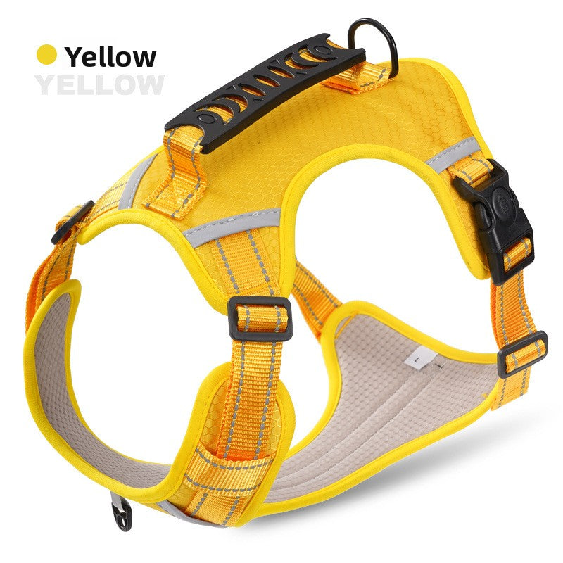 Explosion-proof Chest Strap
