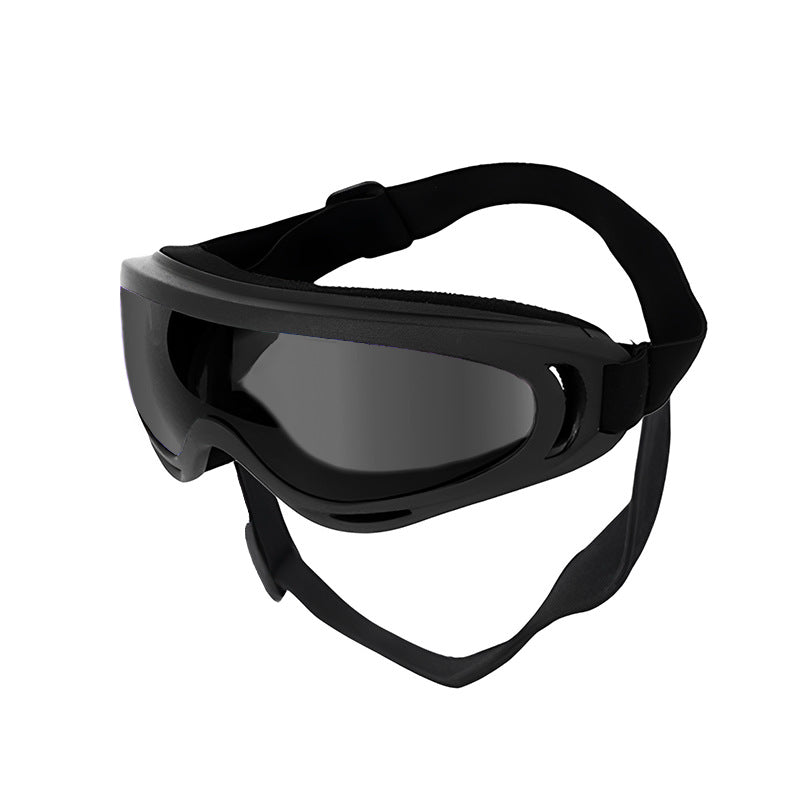 Pet Goggles