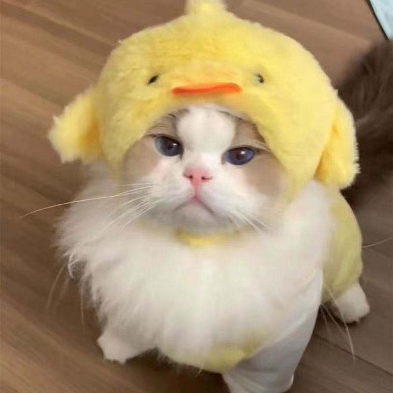 Cat Headwear Dress-up Hat