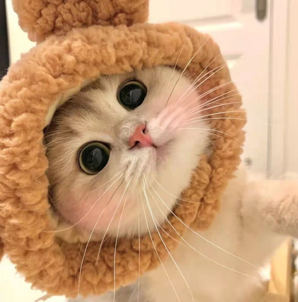 Cat Headwear Dress-up Hat