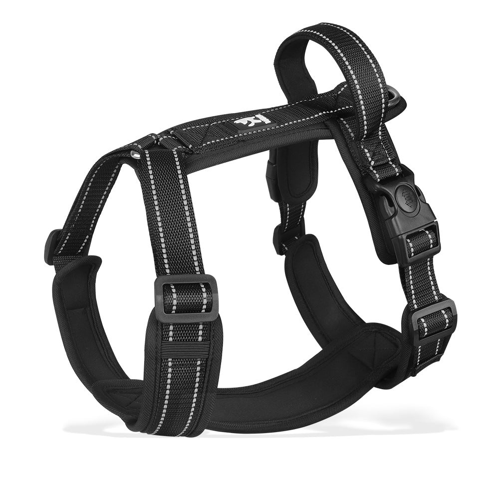 Dog Leash