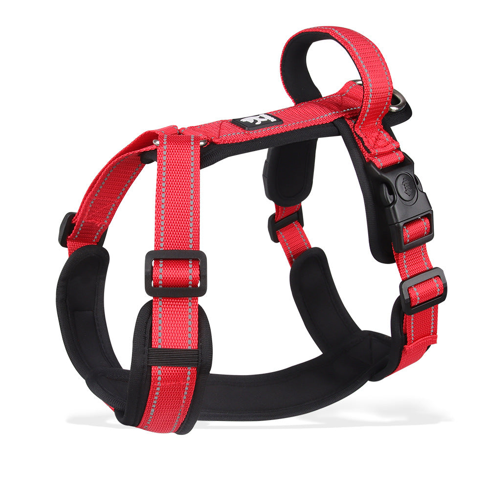 Dog Leash