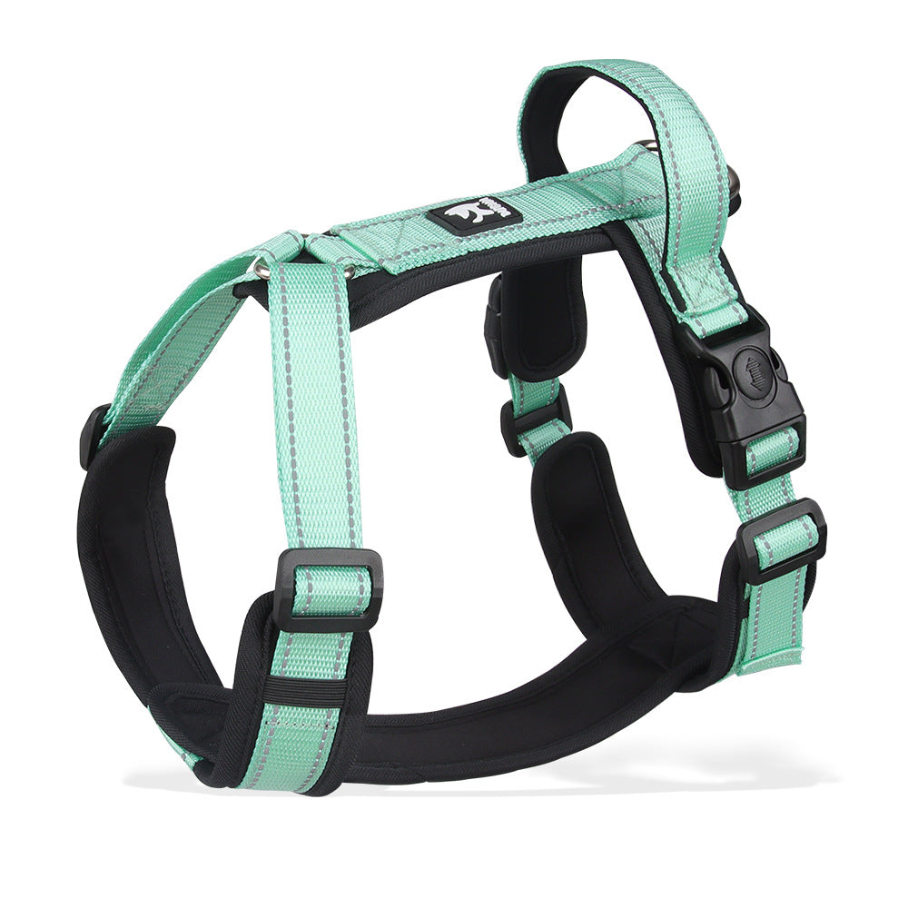 Dog Leash