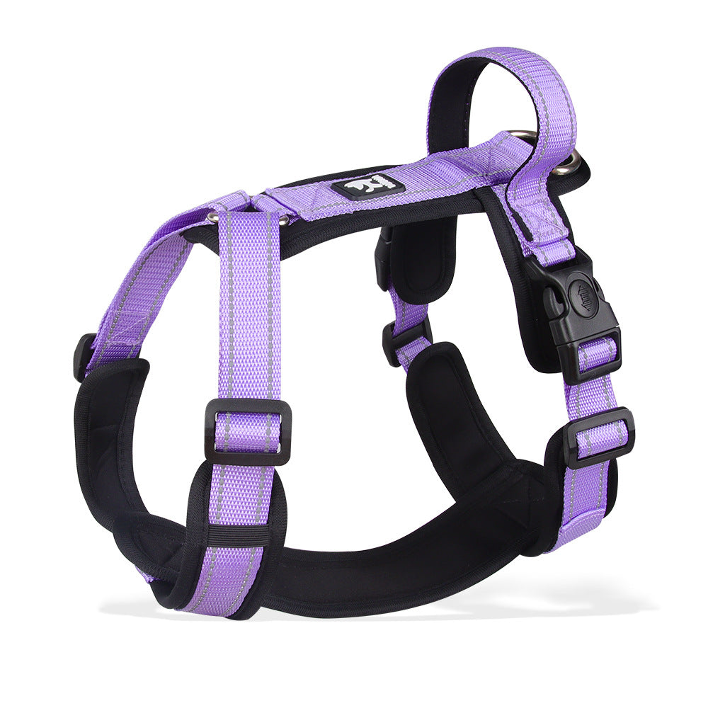 Dog Leash