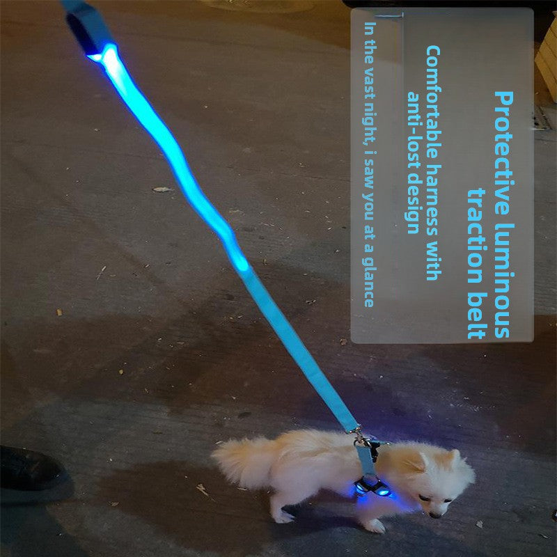 Luminous Dog Leash