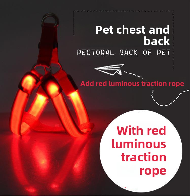 Luminous Dog Leash