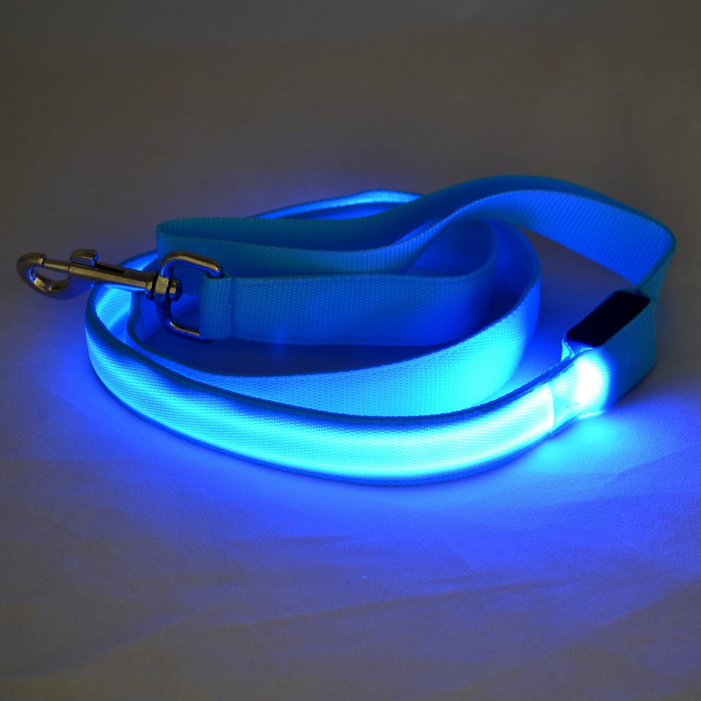 Luminous Dog Leash