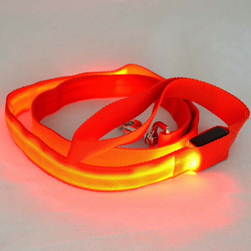Luminous Dog Leash