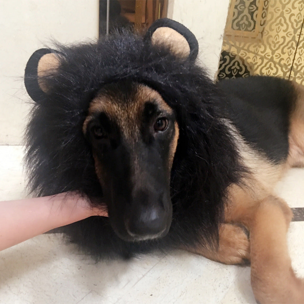 Lion Wig With Ears