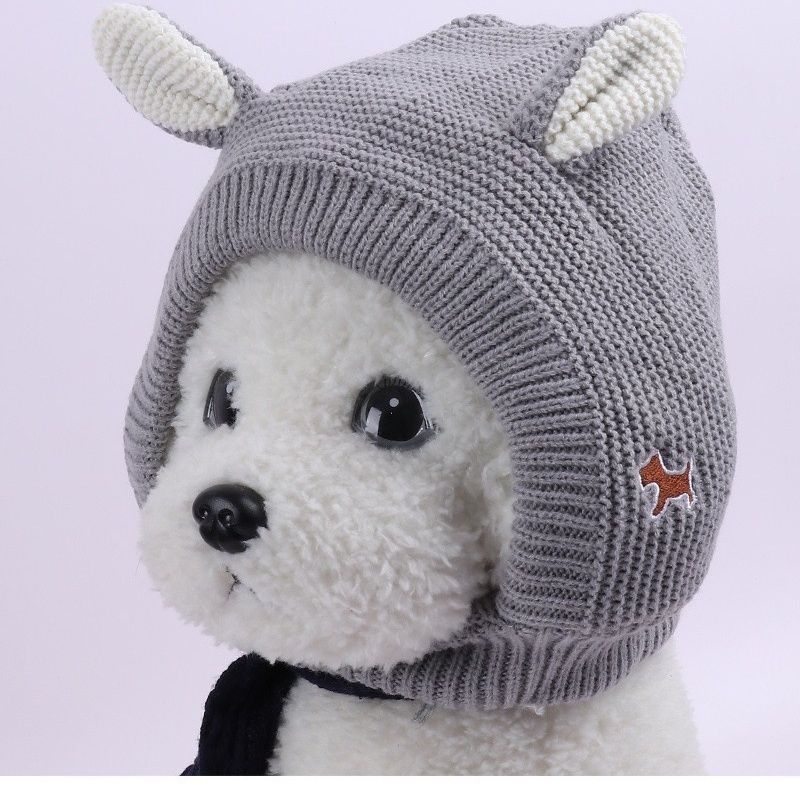 Dog Funny Hat