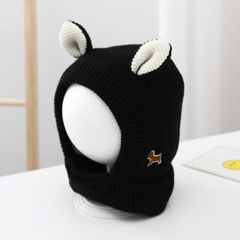 Dog Funny Hat