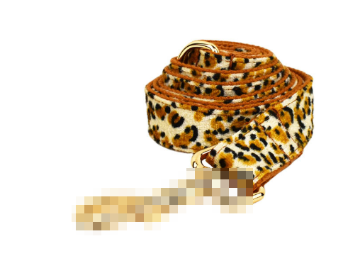 Leopard-Print Pet Lettering Collar
