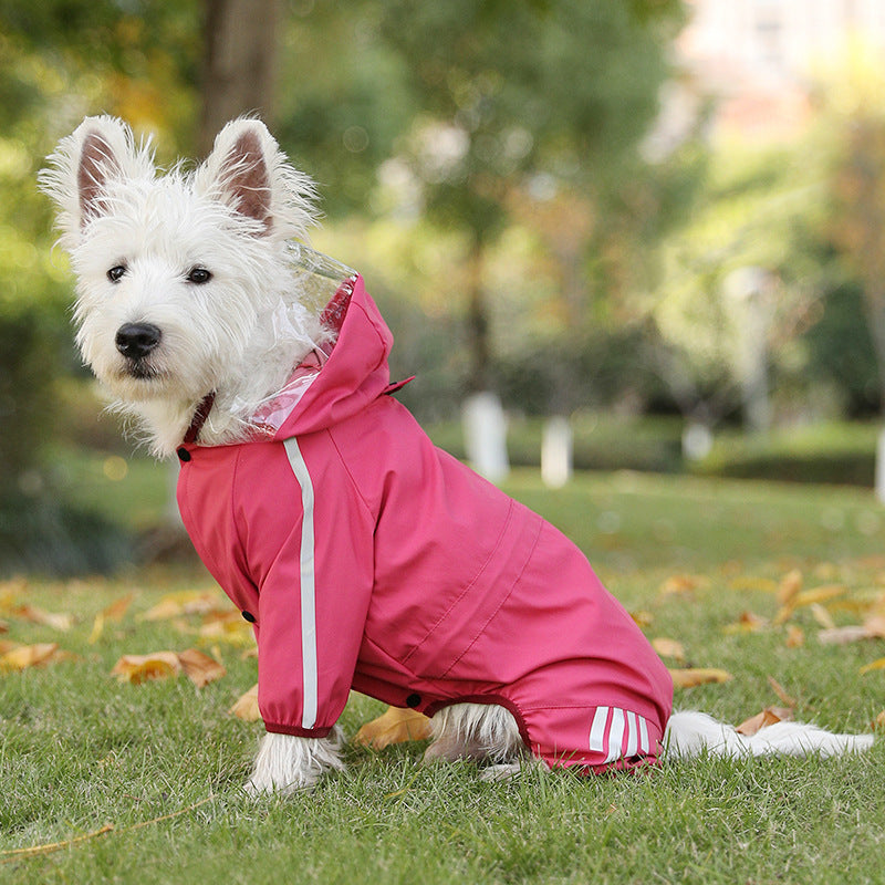 Pets Out On Rainy Days