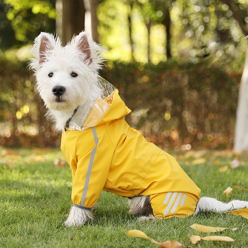 Pets Out On Rainy Days