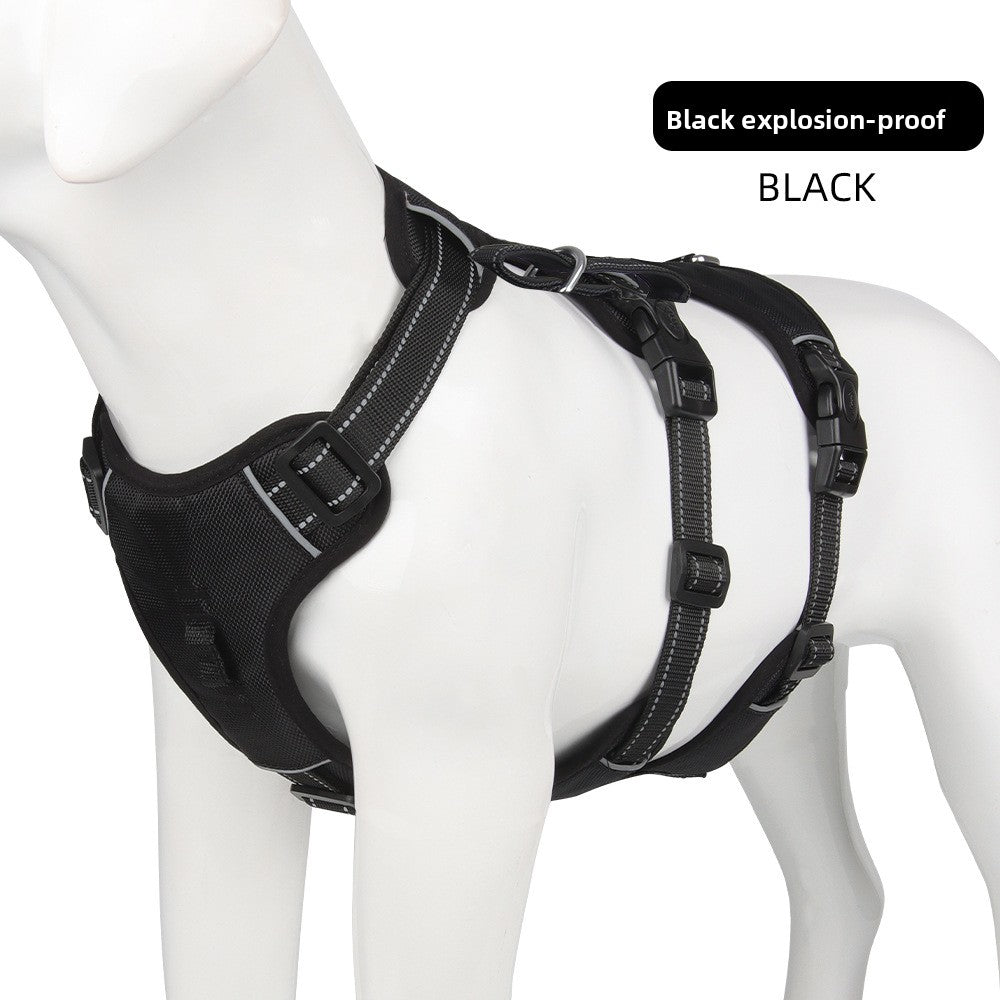 Pet Leash