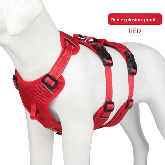 Pet Leash