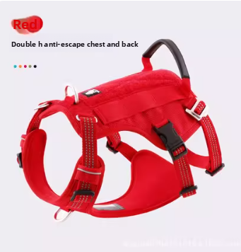 Dog Leash