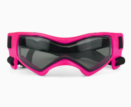 Pet Goggles