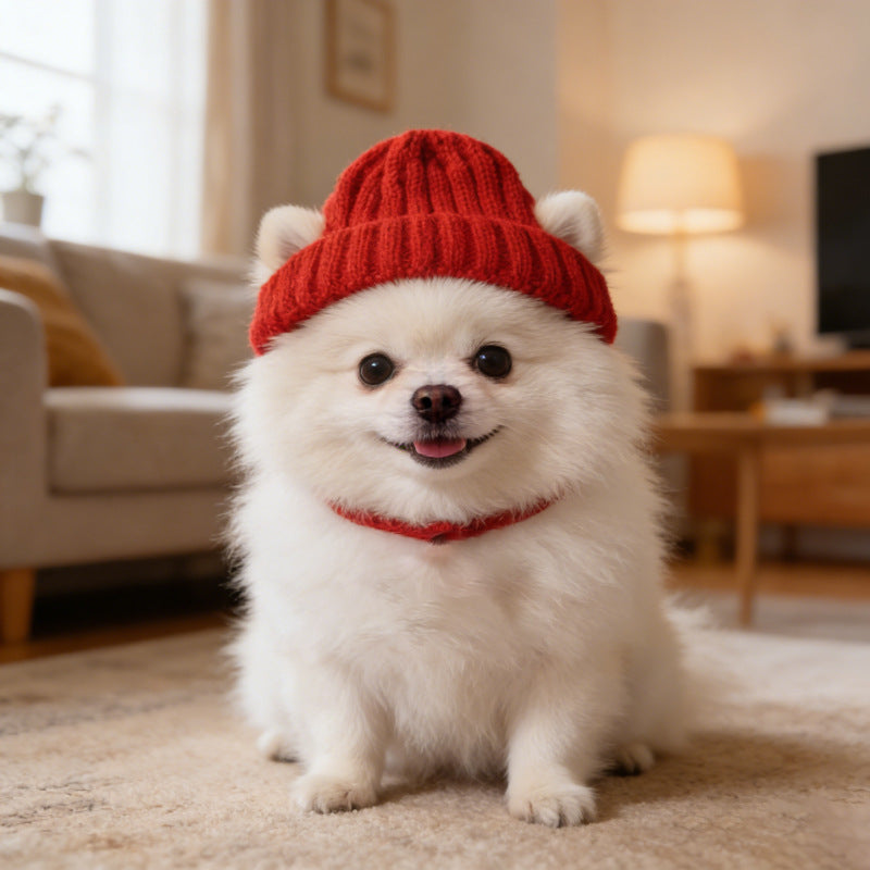 Windproof Knit Dog Hat