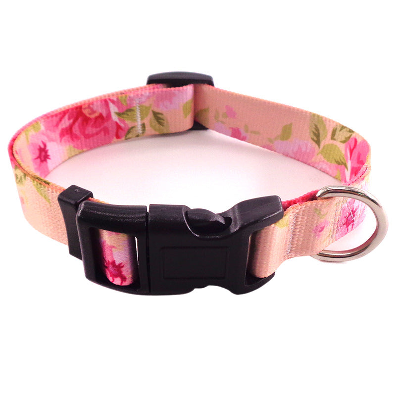 Bohemian Dog Collar