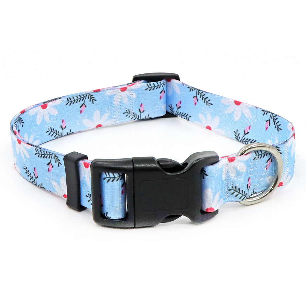 Bohemian Dog Collar