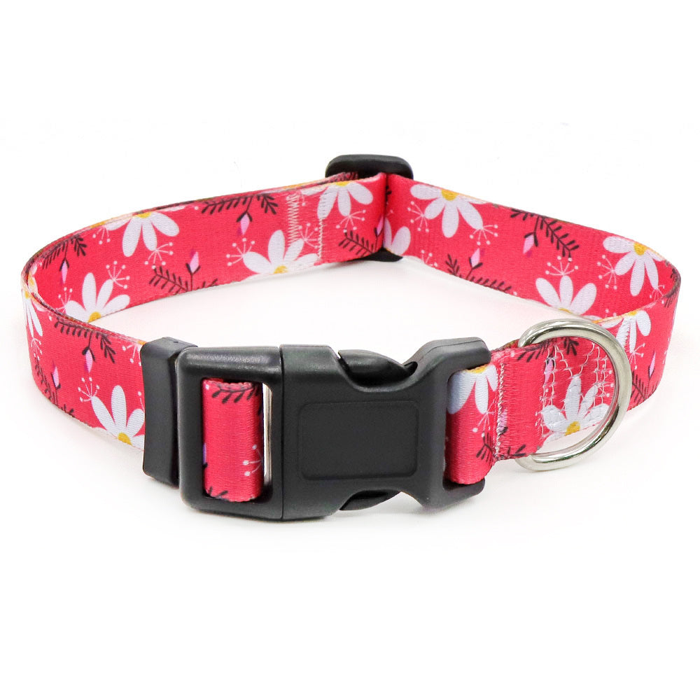 Bohemian Dog Collar