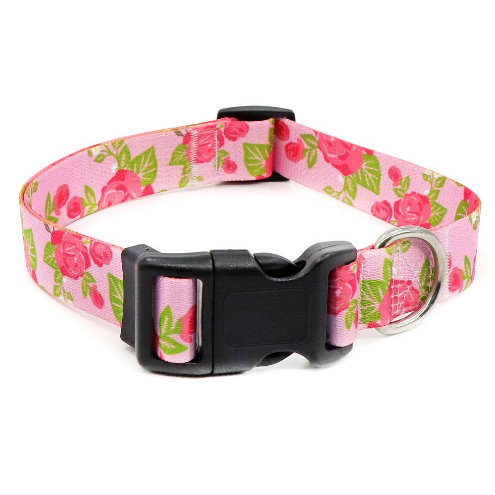 Bohemian Dog Collar