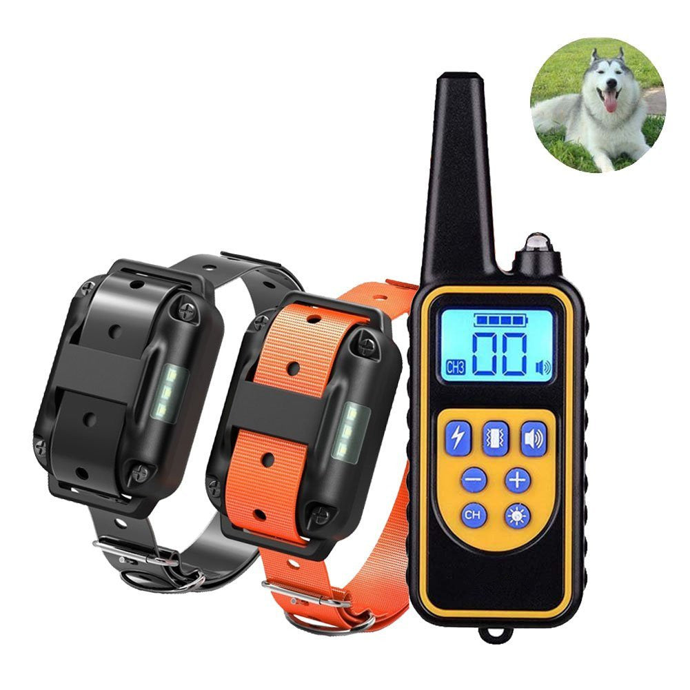 Dog Trainer Training Collar