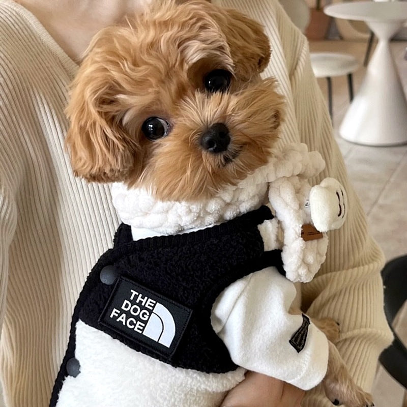 Horse Dog Clothes