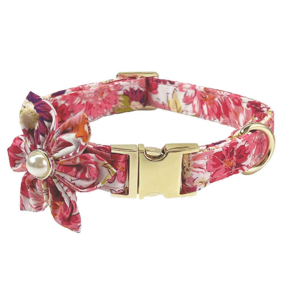 Dog Lettering Collar