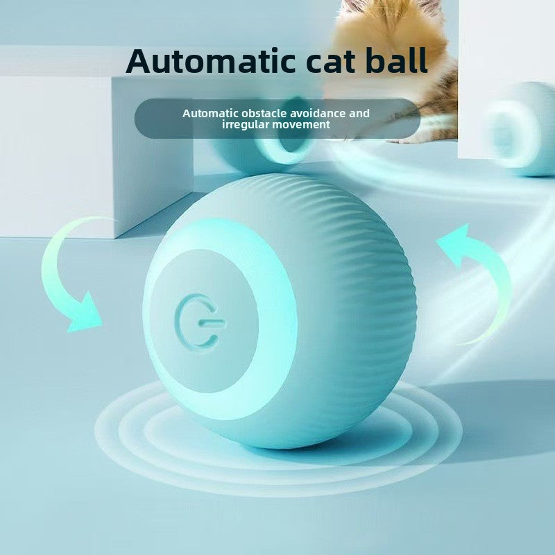 Cat Roller Ball Toy