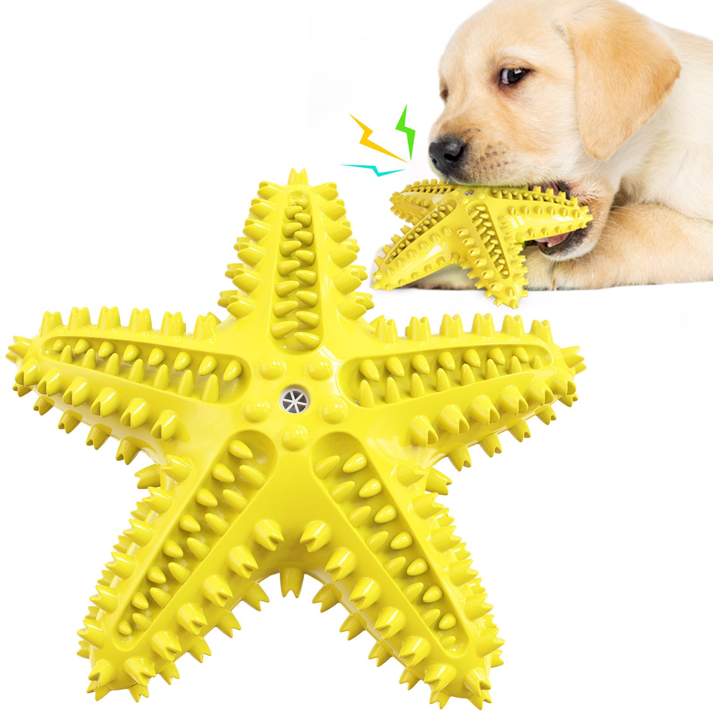 Starfish Sound Toy