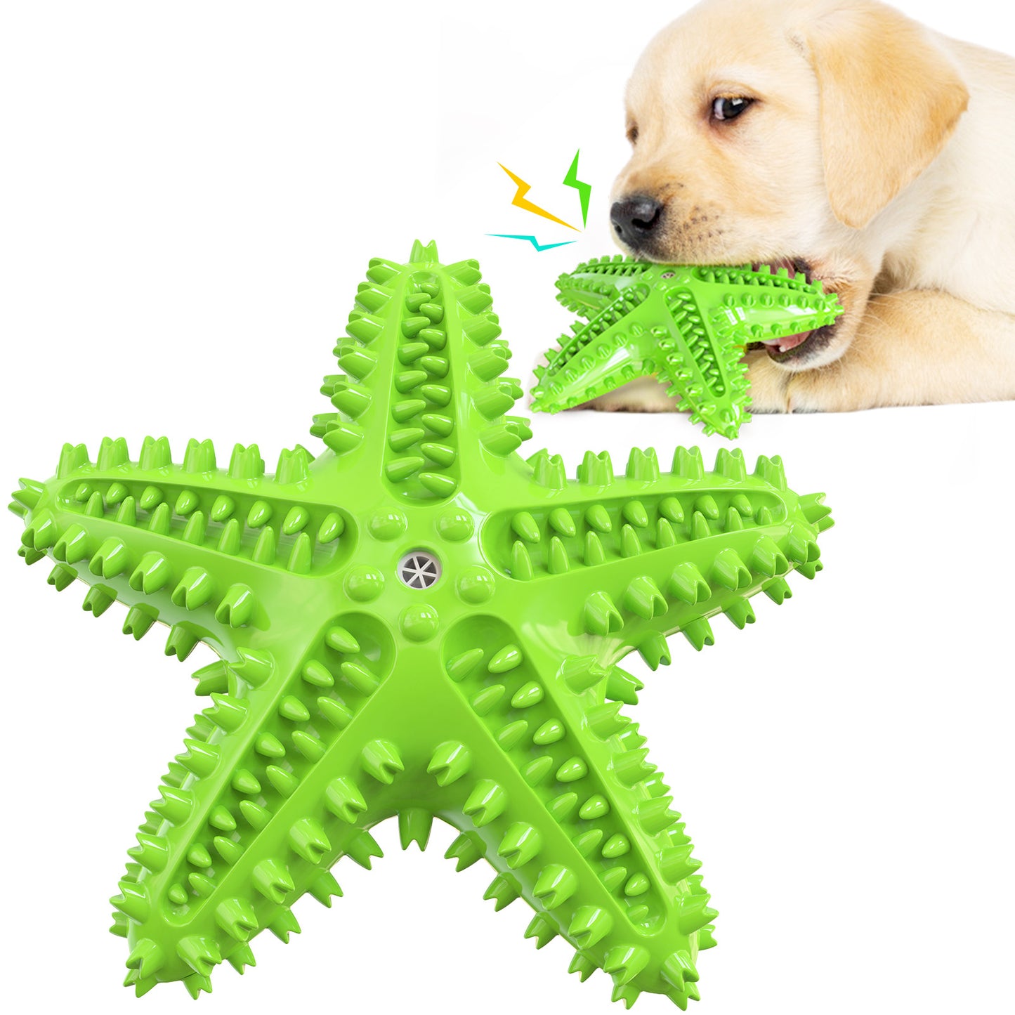 Starfish Sound Toy
