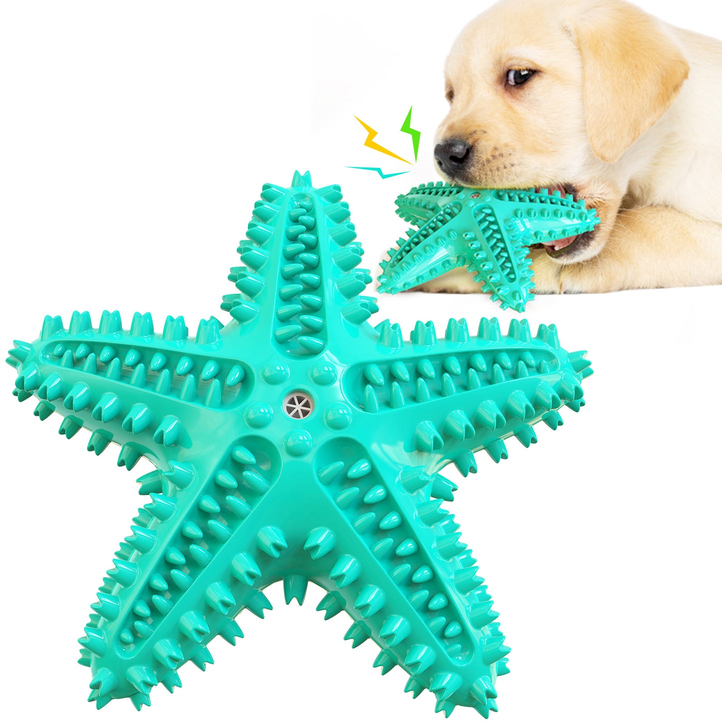 Starfish Sound Toy