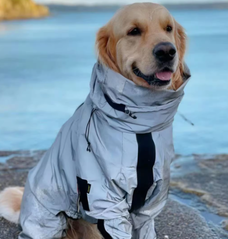 Dog Tactical Reflective Clothes