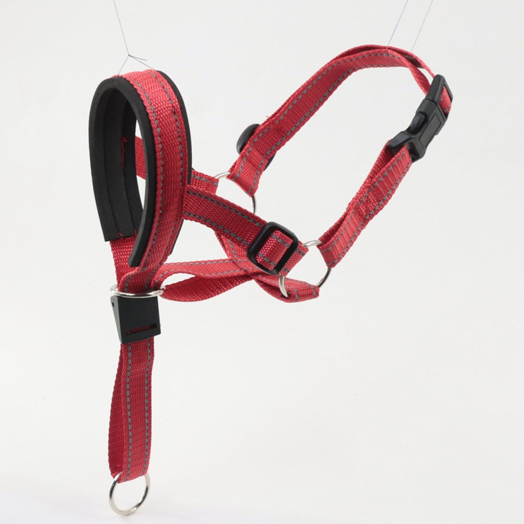 Adjustable Anti-Bite Mask