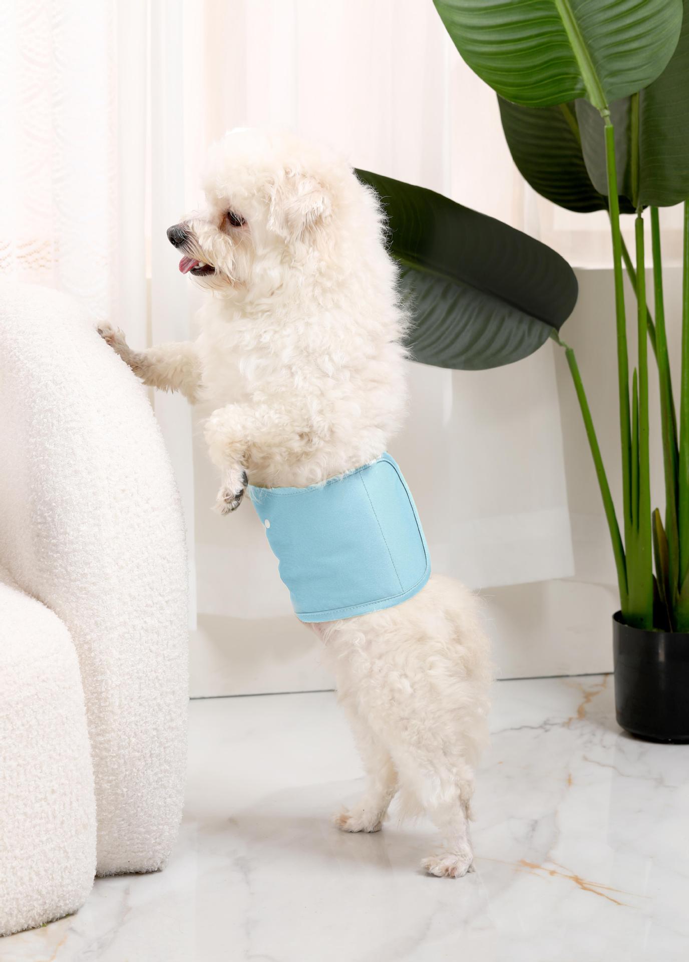 Replaceable Pet Diapers