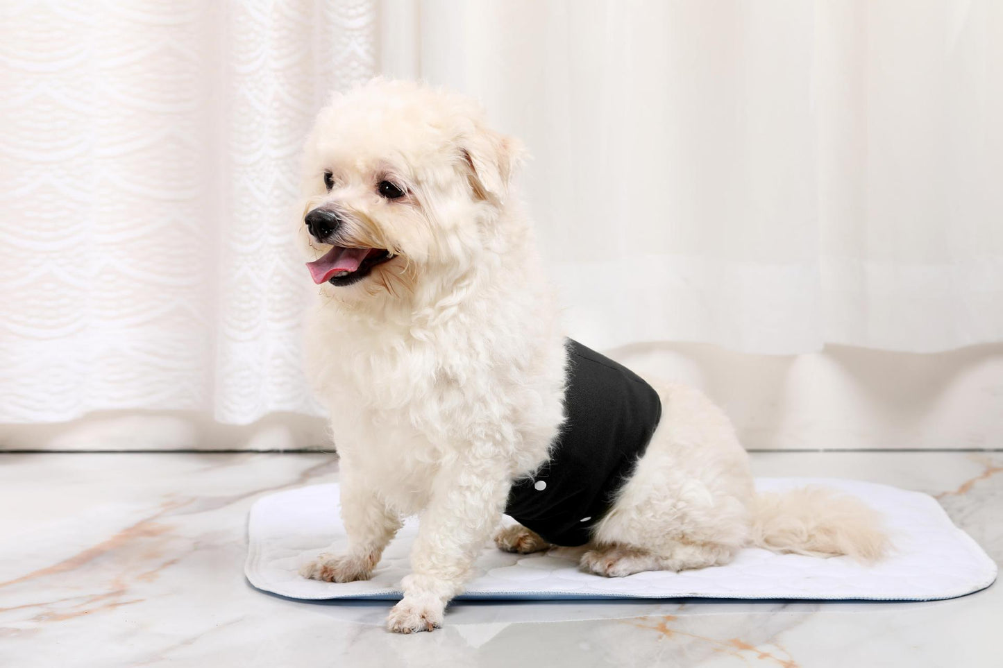 Replaceable Pet Diapers